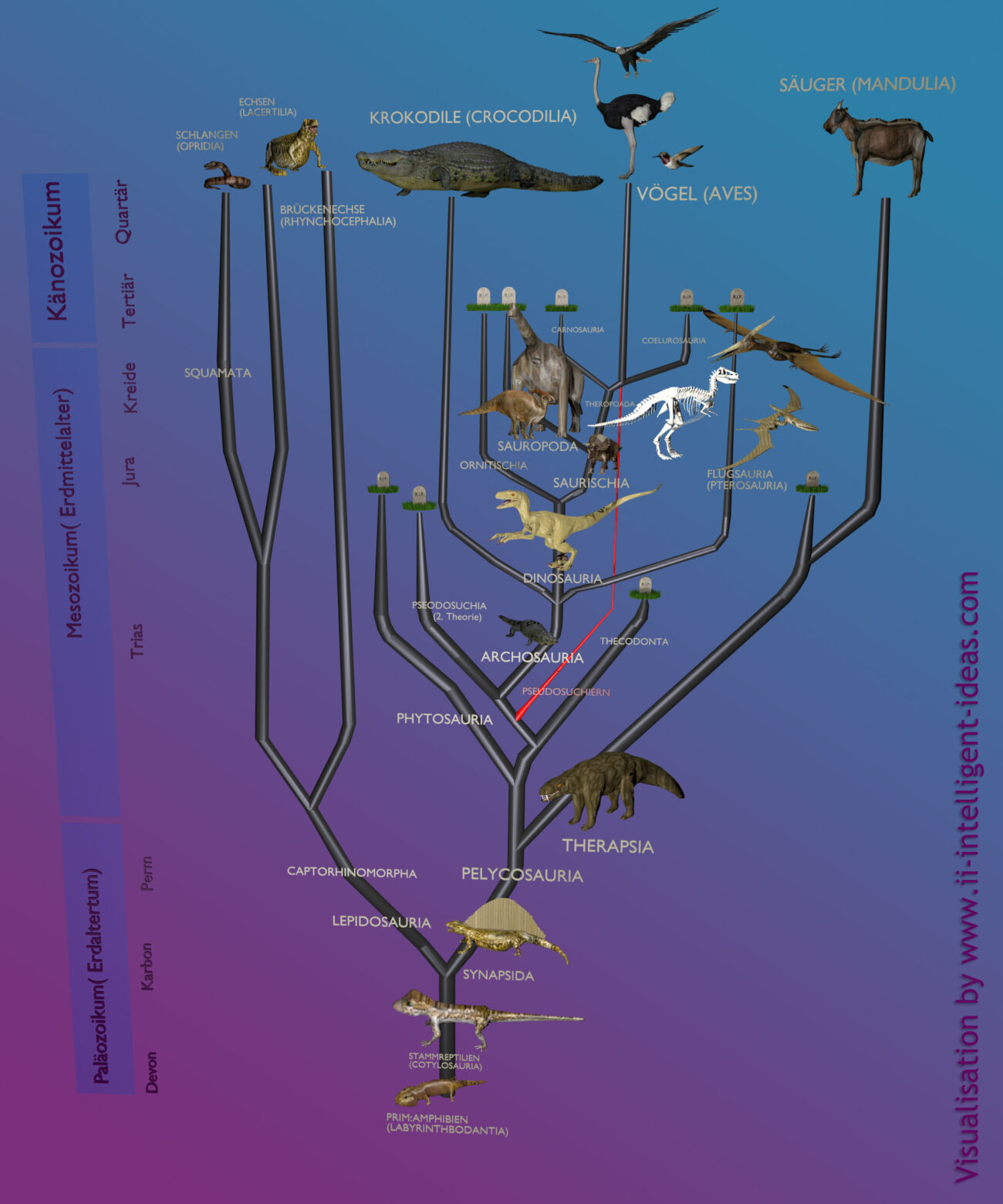 evolutionsstammbaum